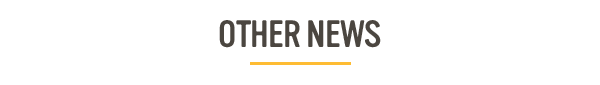 newsletter-section-header-other