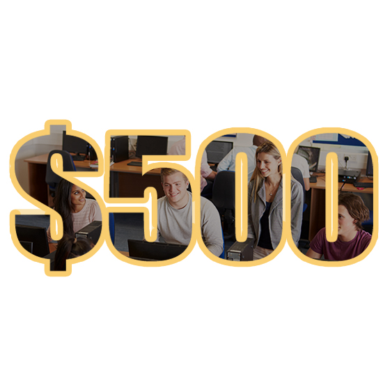 $500 Grant 